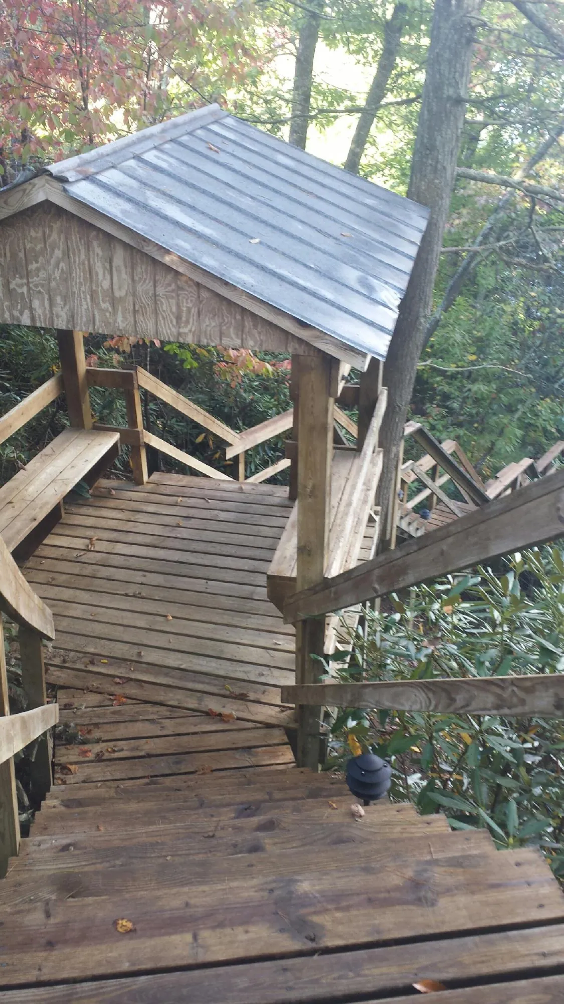Metal roofed shelter over wooden steps on a wooded walkway — Skylight Repair & Installation work by our crew in Wilsonville