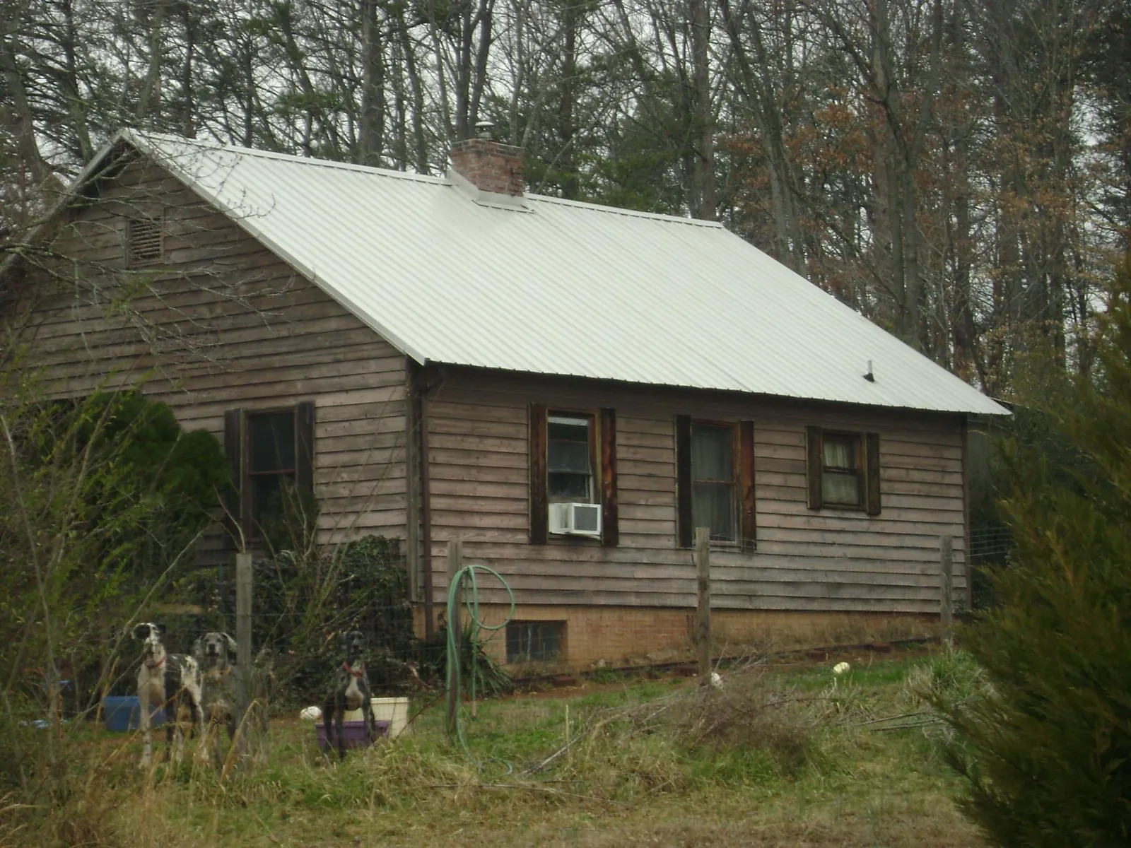 White metal roof on an old wood sided farmhouse, from a Metal Roof Installation job in Wilsonville